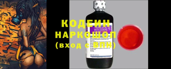 мдпв Верхний Тагил