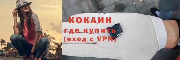 мдпв Верхний Тагил