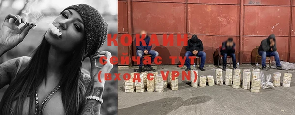 мдпв Верхний Тагил