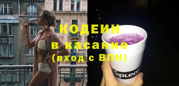 мдпв Верхний Тагил