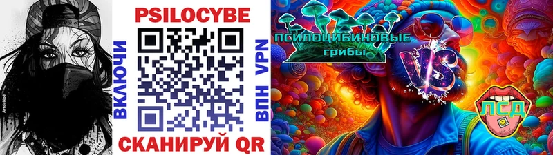 Купить  Карабаново  Галлюциногенные грибы Cubensis 